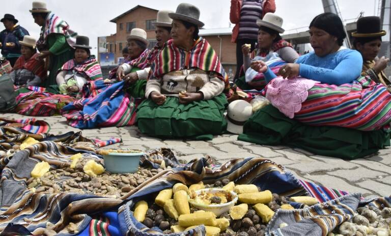 Bolivia, agua, medioambiente, indgenas, gobierno, religin