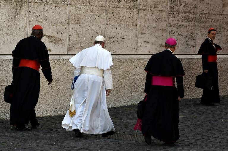 papa - religión - Vaticano - COP21 - clima - calentamiento - capitalismo - medios