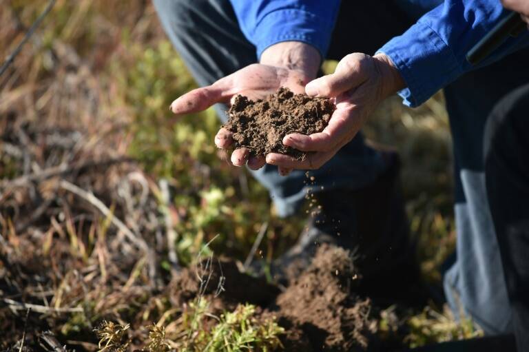 Australia - clima - medioambiente - economía - vino