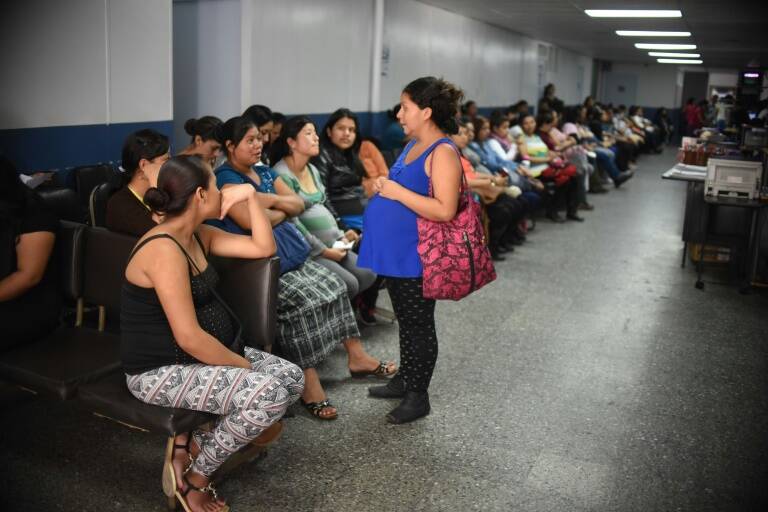 Guatemala - Brasil - Zika - salud - virus - maternidad - embarazo