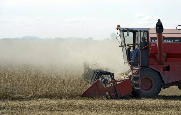 EEUU - materias - primas - agricultura - SEMANA