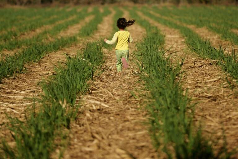 ONU,FAO,alimentos,precios