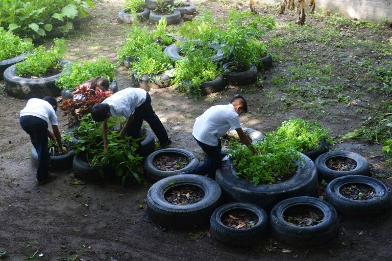 ElSalvador,educacin,alimentos,pandillas