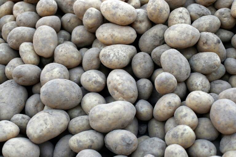 salud - niños - mujeres - alimentos - patatas