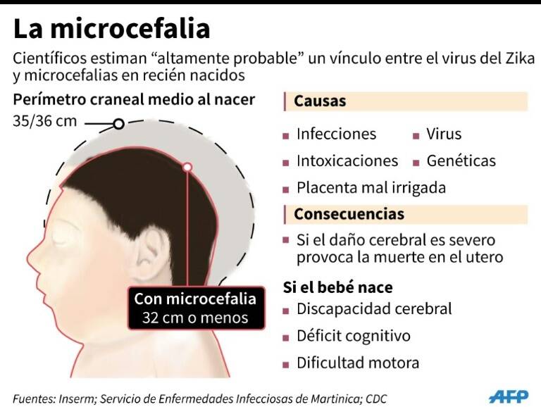 noticia