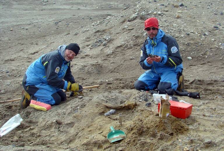 Argentina - paleontologa - ciencias