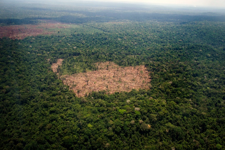 clima,medioambiente,COP21,agricultura,Brasil,Amazonia
