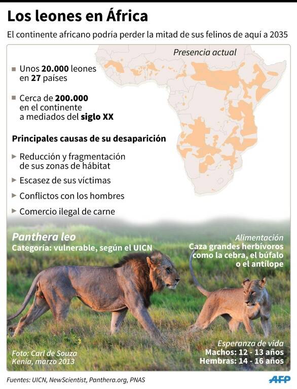 noticia