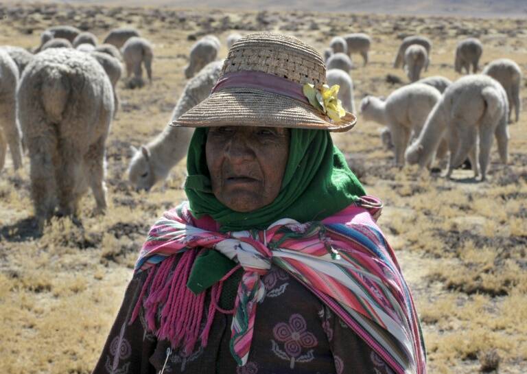 Perú - política - trabajo - bienestar - pensión - economía - jubilaciones
