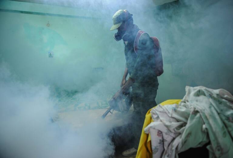 Brasil - zika - salud - enfermedad - virus