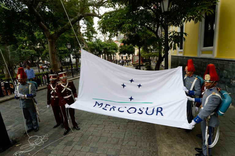 Paraguay,Mercosur,poltica,Venezuela,Argentina,Brasil,diplomacia