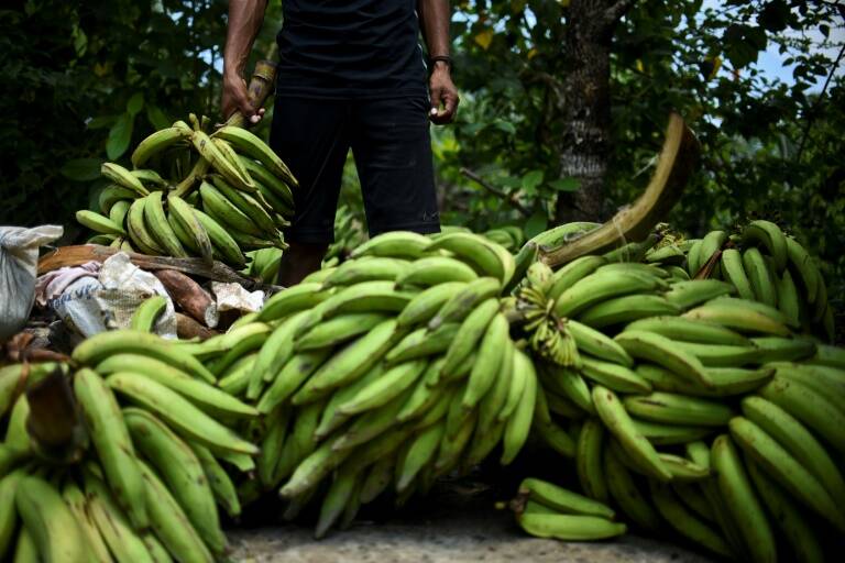 Ecuador - UE - comercio - parlamento - diplomacia - Colombia - Per