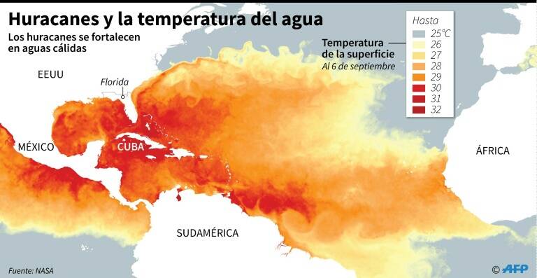 noticia