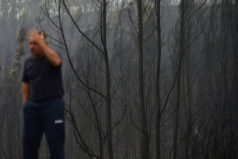 Espaa - Portugal - Galicia - incendio - bosques