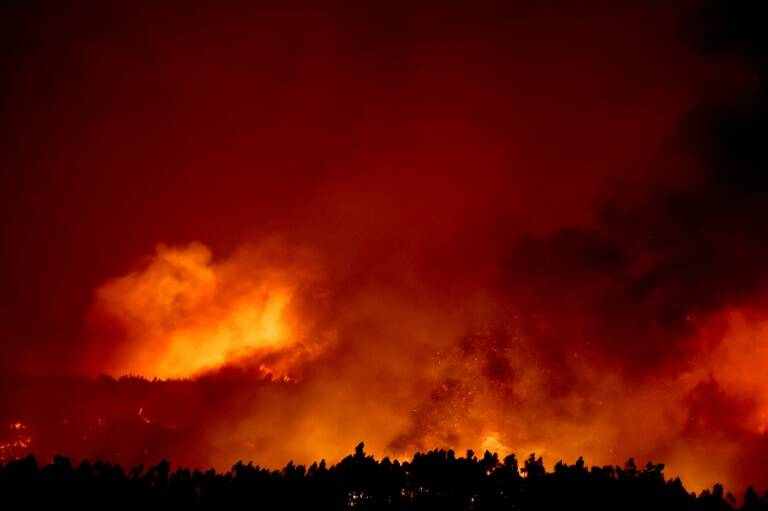 Portugal - incendio - medioambiente - bosques