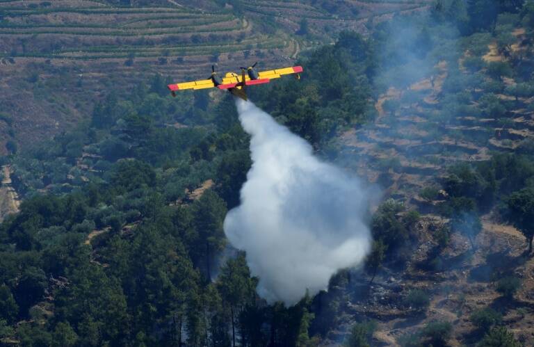 Portugal,bosques,incendio