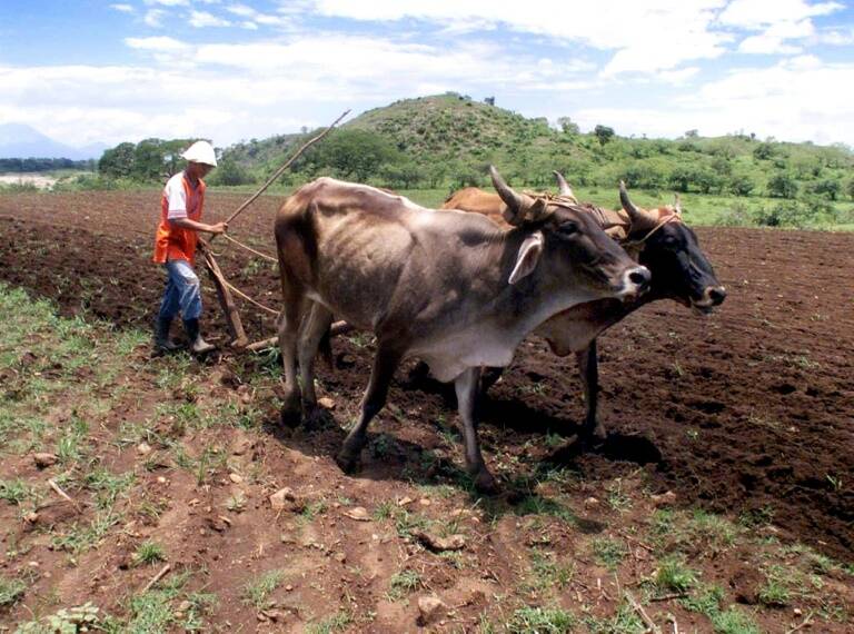 Centroam,medioambiente,clima,pobreza,Centroam,medioambiente,clima,pobreza,Centroam,medioambiente,clima,pobreza