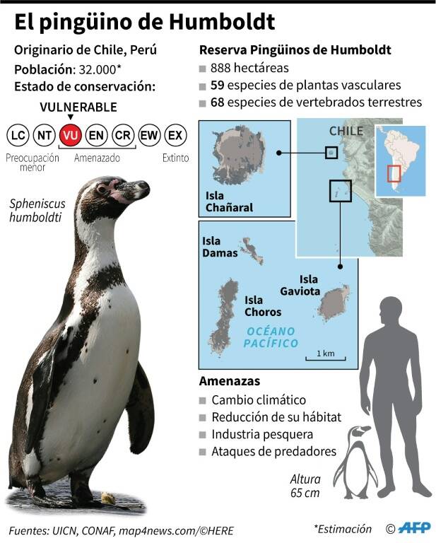 noticia