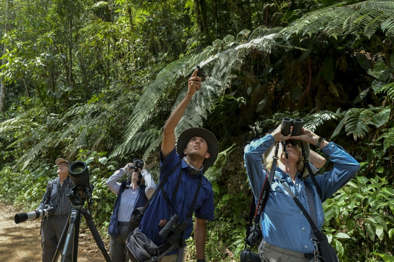Colombia,medioambiente,bosques