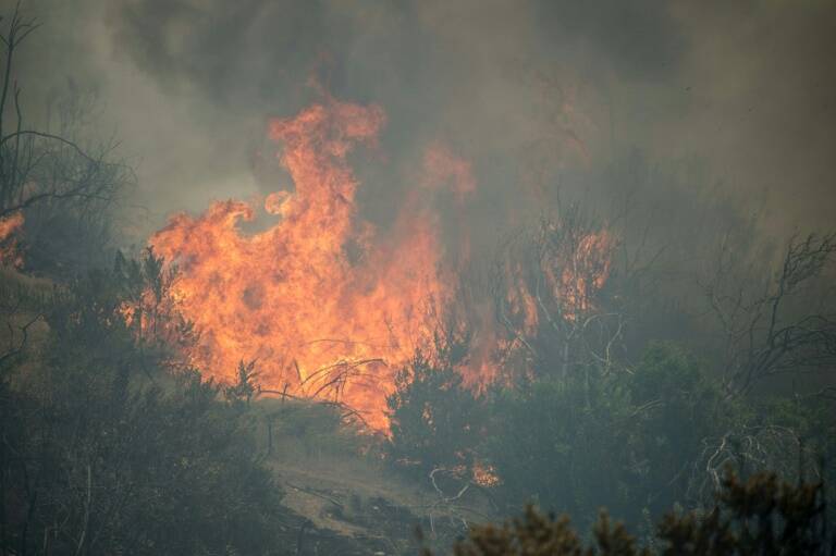 Chile,incendio,medioambiente