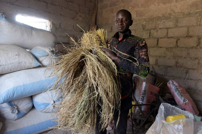 Senegal - migración - agricultura - jóvenes - educación - demografía