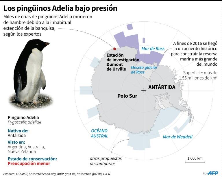 noticia