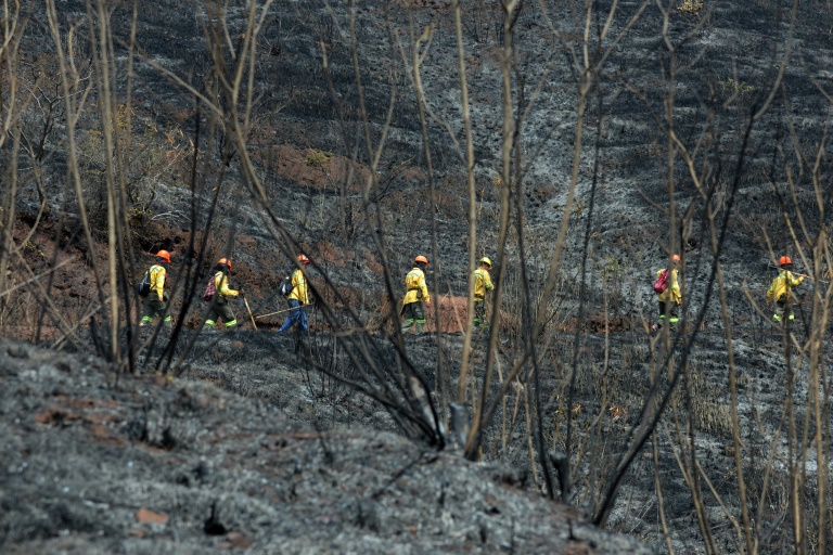 Honduras - medioambiente - incendio - bosques