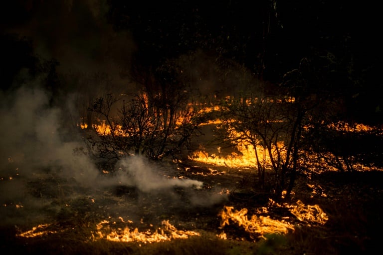 Chile - incendio - medioambiente - cultivos