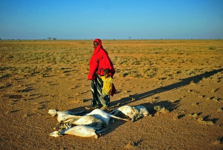 Somalia - hambruna - sequa