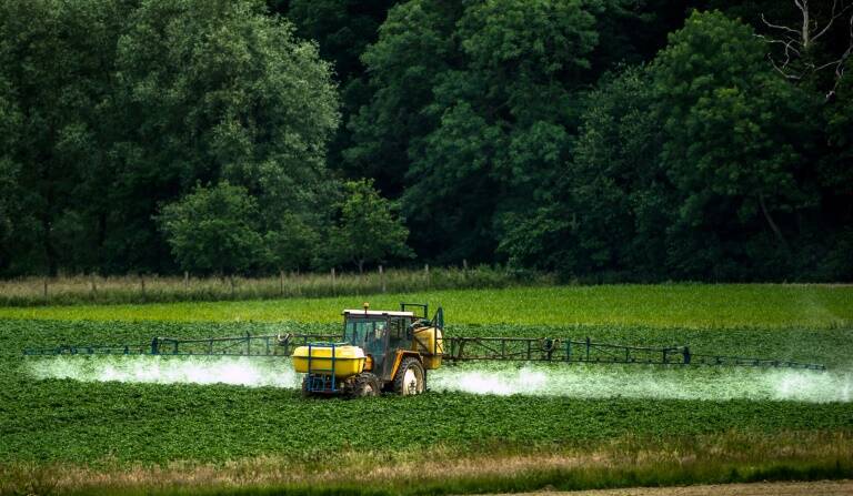 UE,medioambiente,salud,qumica,agricultura