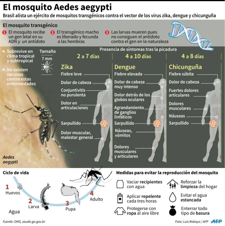 noticia