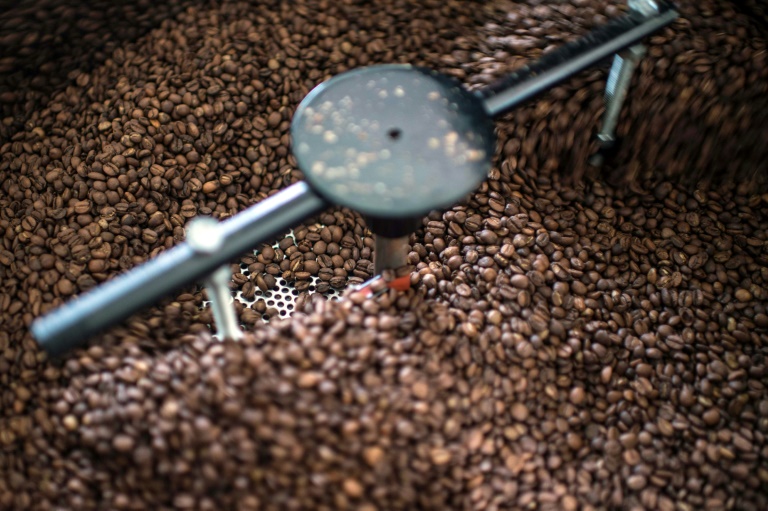 Brasil - agricultura - café - mercado