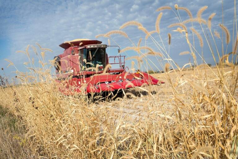 EEUU,materias,primas,agricultura