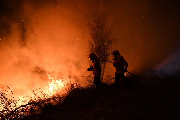 Portugal - incendios - medioambiente