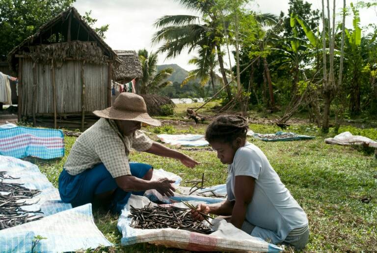 Madagascar - medioambiente - economía - mercado - agricultura