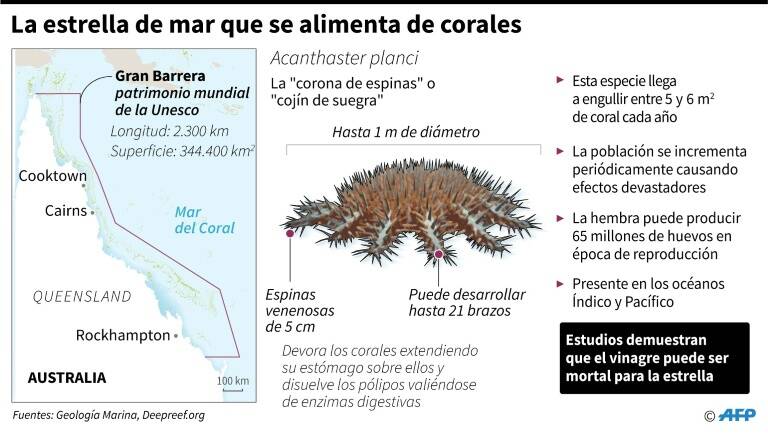 noticia