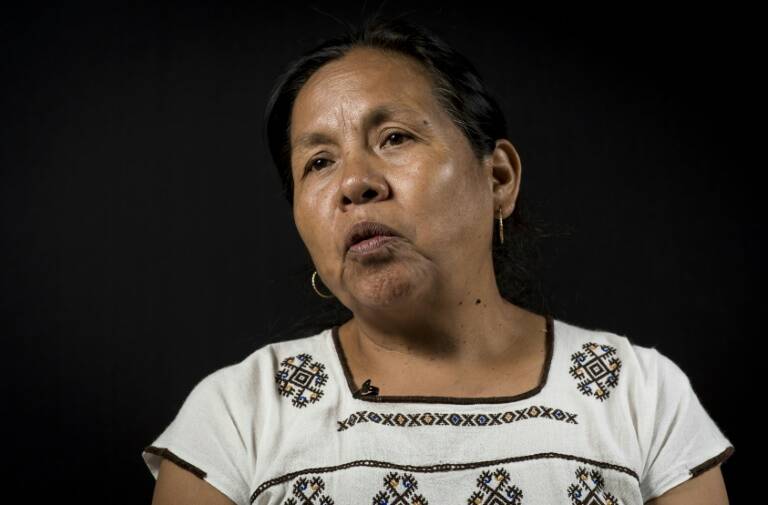 México - elecciones - indígenas - salud - medioambiente - justicia - crimen - organizado - narcotráfico