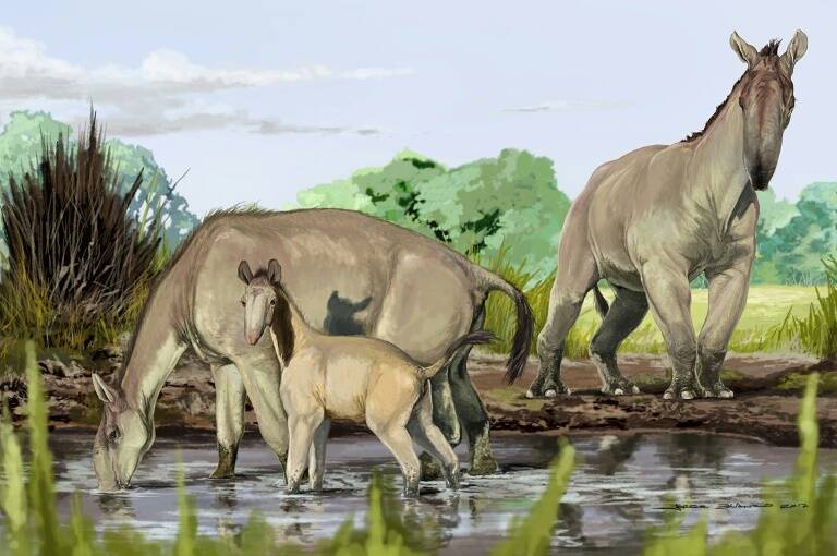 Argentina,paleontología,ciencia