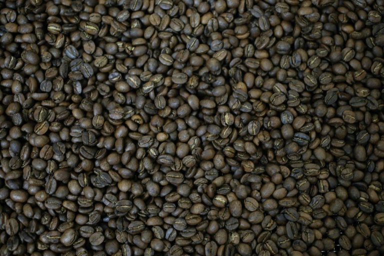 Colombia - caf - cultivos - economa