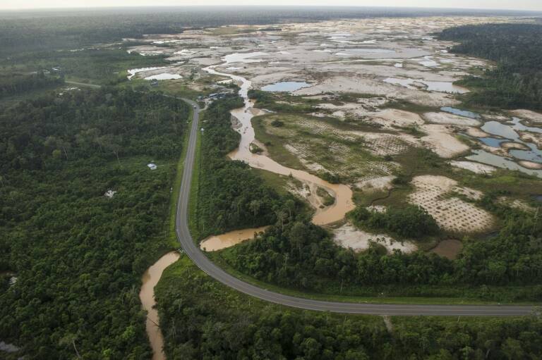 Perú,bosques,desaforestación