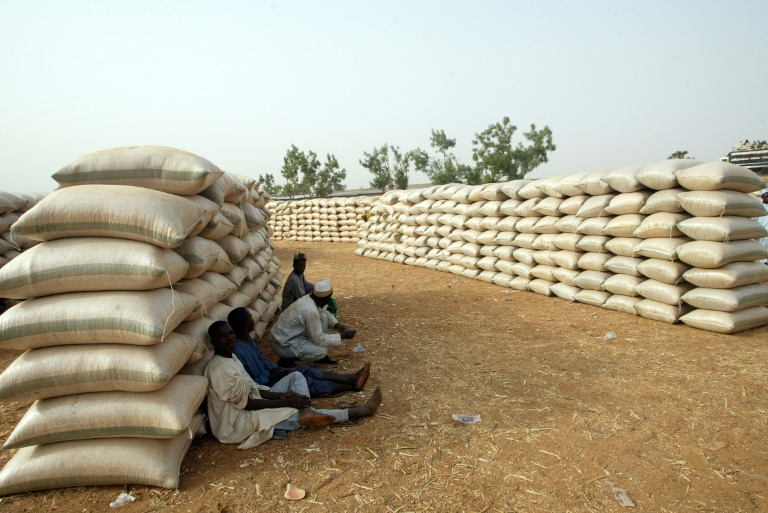 FAO - pobreza - ONU - poltica - alimentation - agricultura