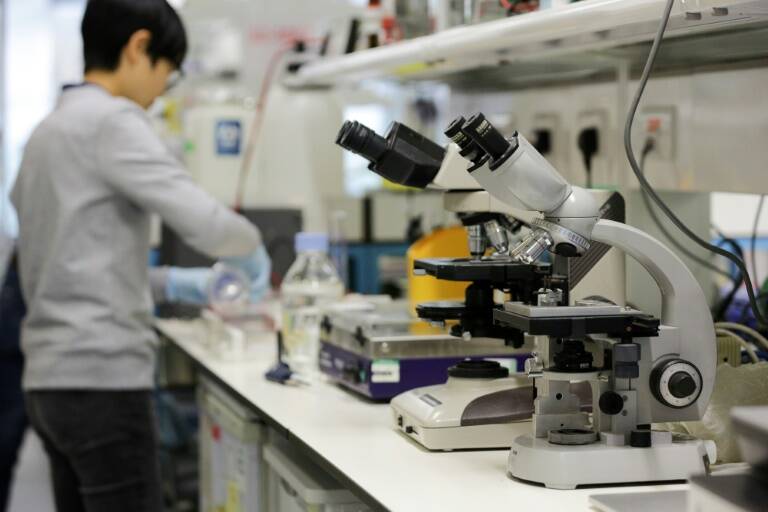 GB,EEUU,ciencia,salud,corazón