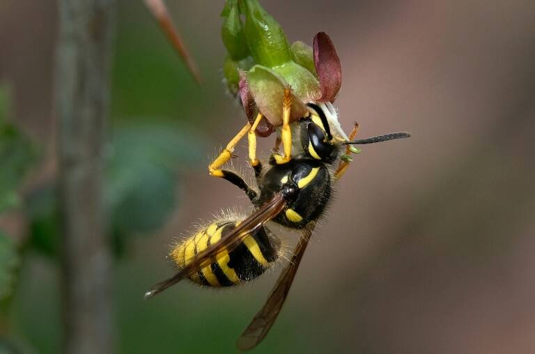 fotonoticia