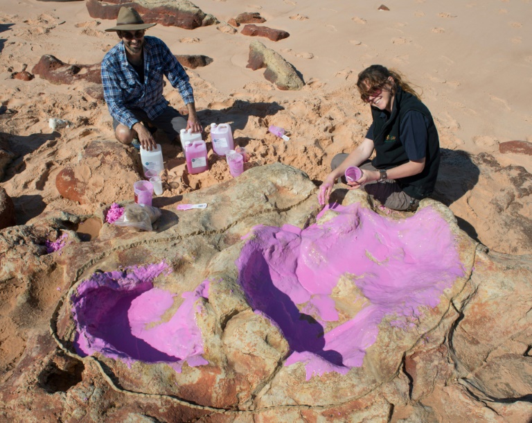 Australia - historia - paleontologa - ciencias