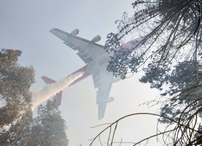 Chile - incendios - medioambiente - Rusia