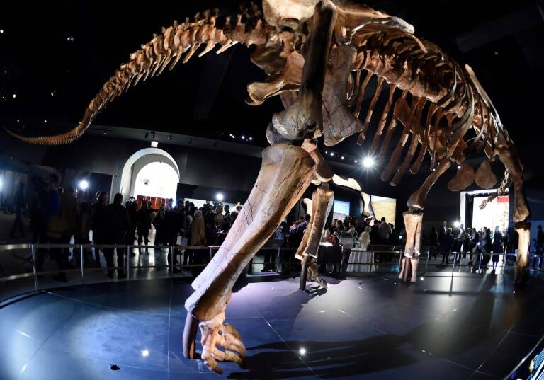 Argentina - EEUU - paleontología - dinosaurios - ciencias - cultura