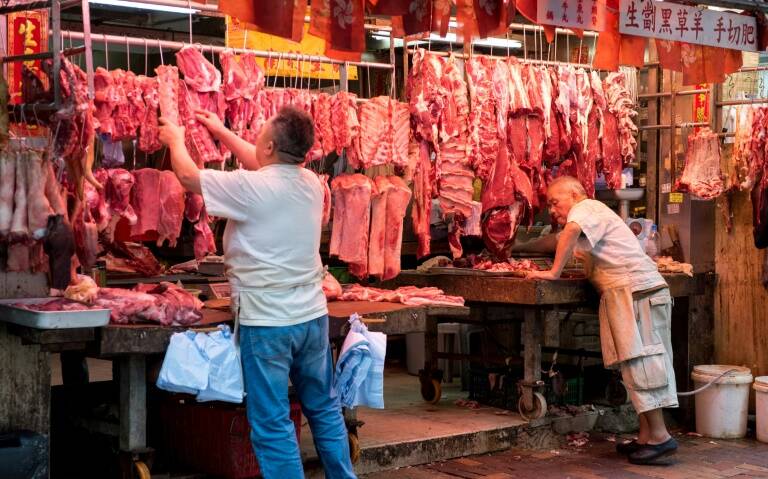 alimentos - exportaciones - corrupción - salud