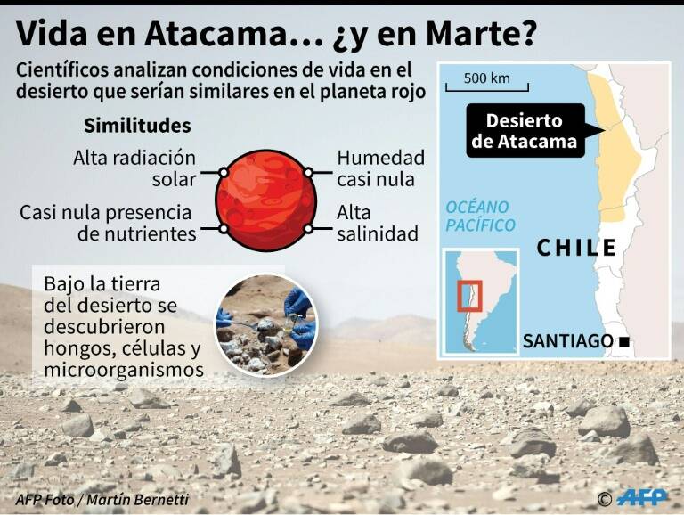 noticia