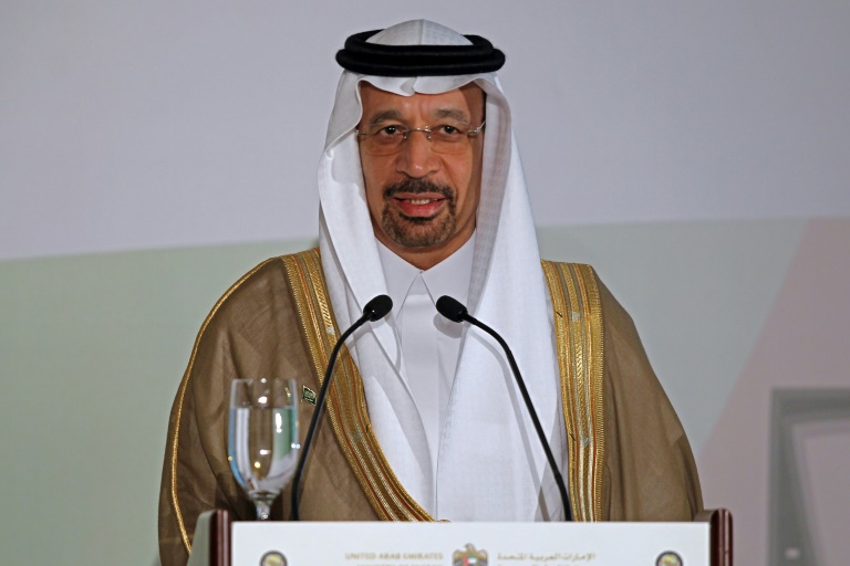 OPEP - energa - petrleo - Arabia - Emiratos