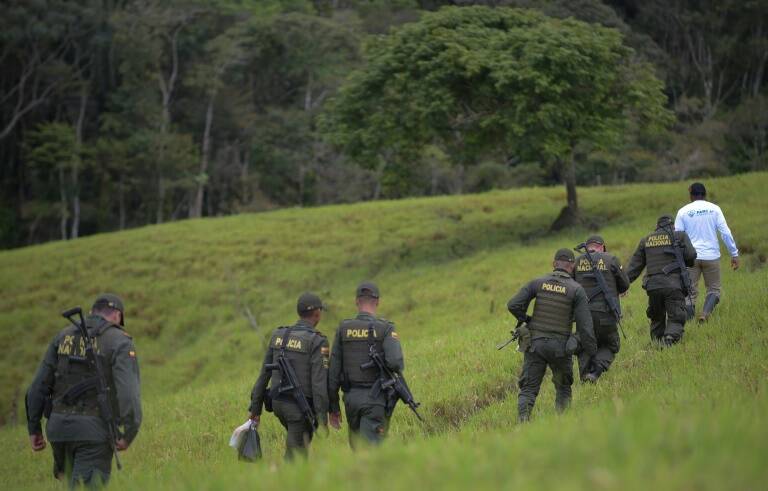 Colombia - conflicto - paz - guerrilla - agricultura